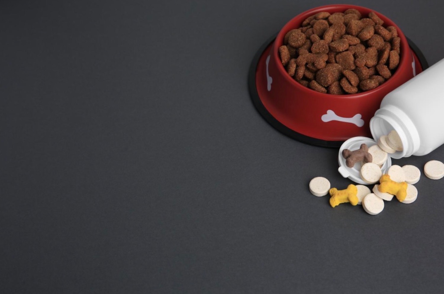 記事画像 「獣医学フォーラムやウェビナーへの参加がペットの寿命を延ばす方法」