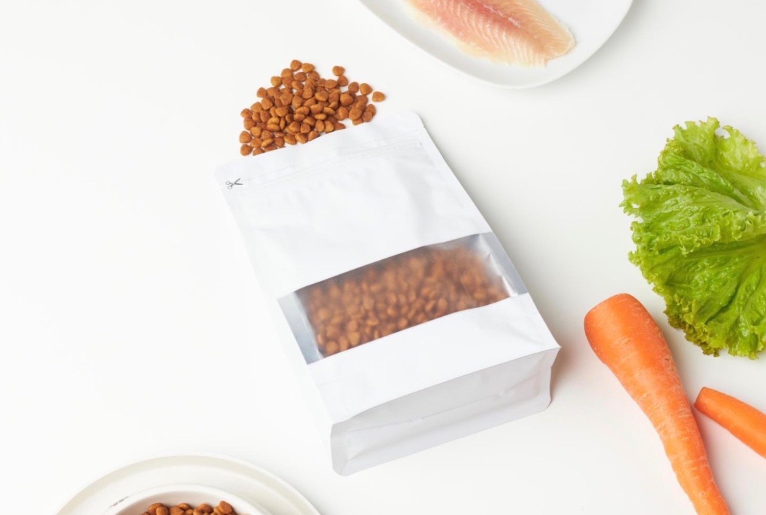 記事画像 「ダイエットが必要なワンちゃん、冬の体重管理とやさしい栄養サポート」