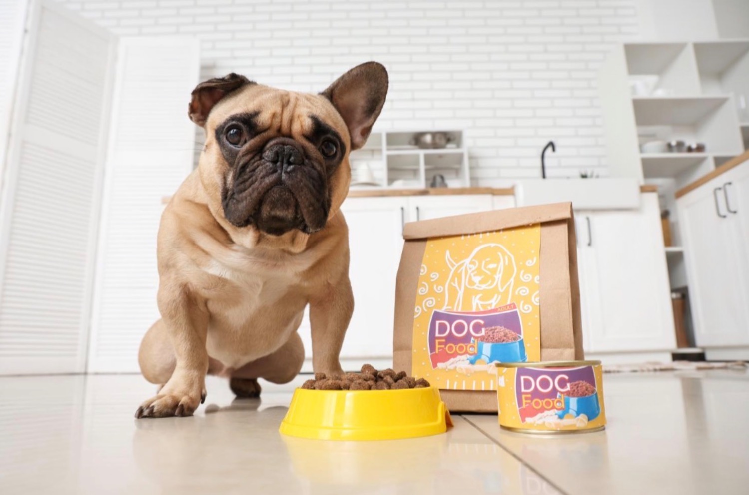 記事画像 「ペットが薬やサプリを飲んでくれない：原因や具体的な対処法を解説」