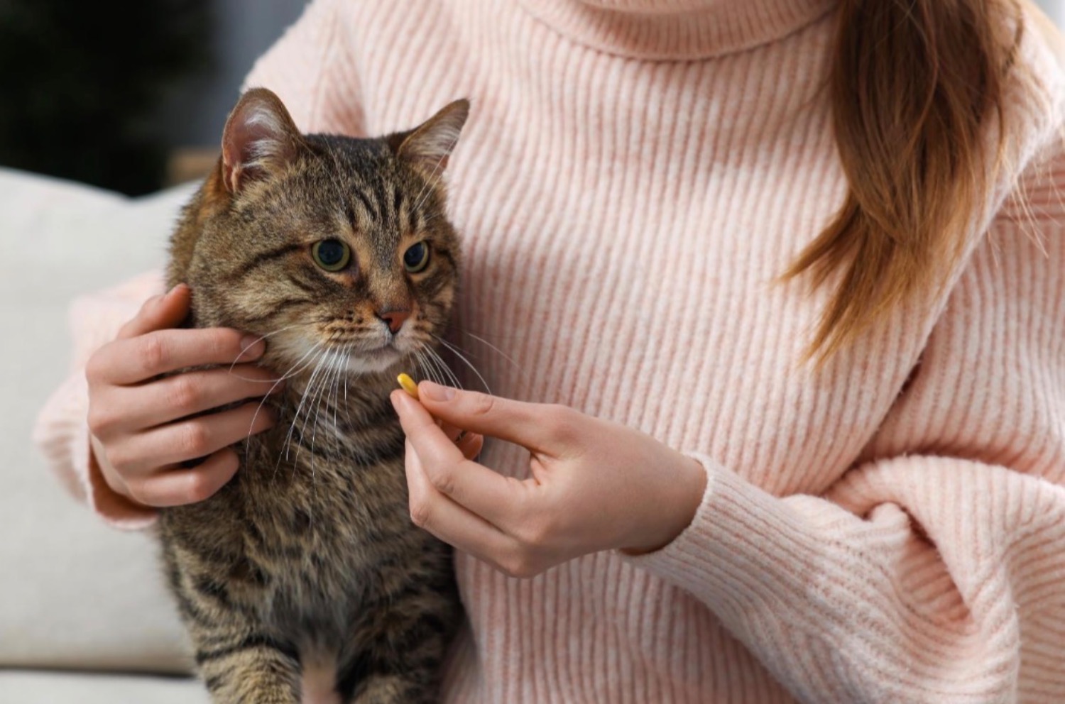 記事画像 「ペットが薬やサプリを飲んでくれない：原因や具体的な対処法を解説」