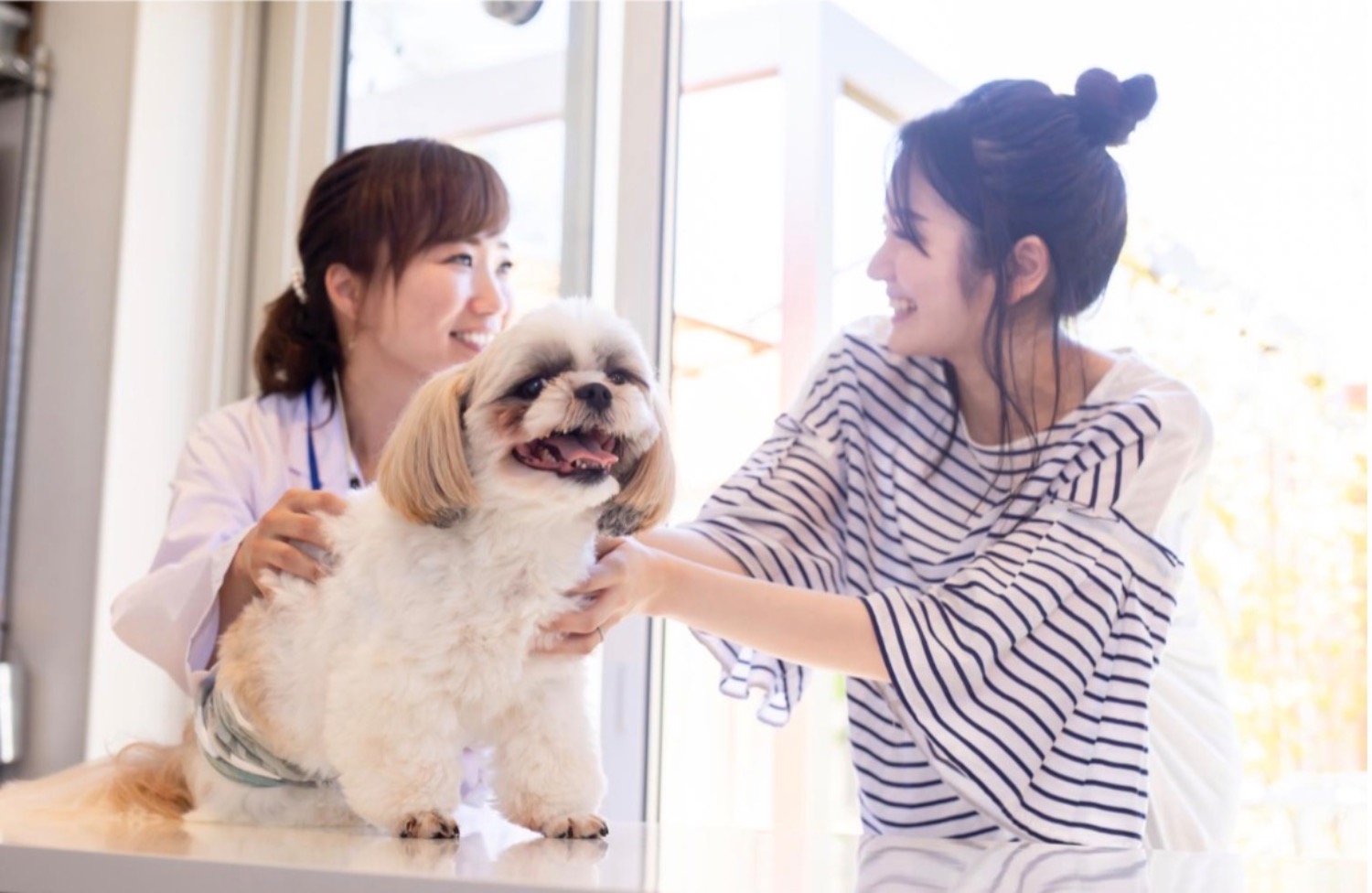 記事画像 「ペットが薬やサプリを飲んでくれない：原因や具体的な対処法を解説」